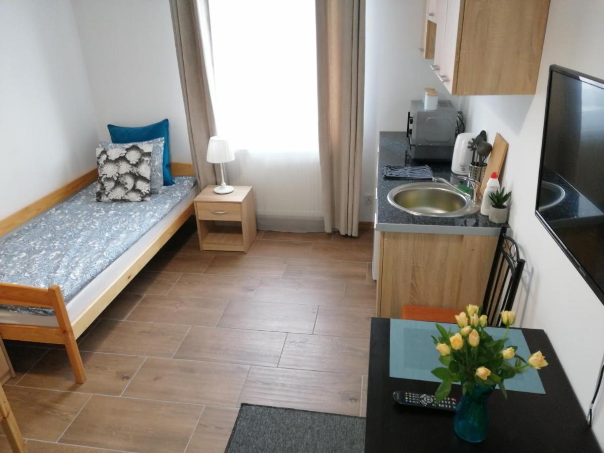 Pokoje - Studio Gliwice I Przy Onkologii Buitenkant foto