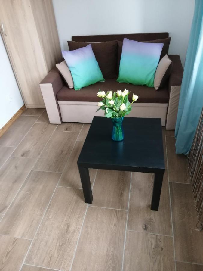 Pokoje - Studio Gliwice I Przy Onkologii Buitenkant foto