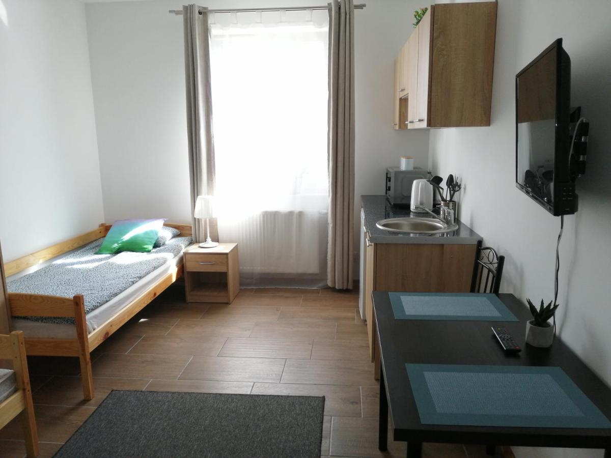 Pokoje - Studio Gliwice I Przy Onkologii Buitenkant foto