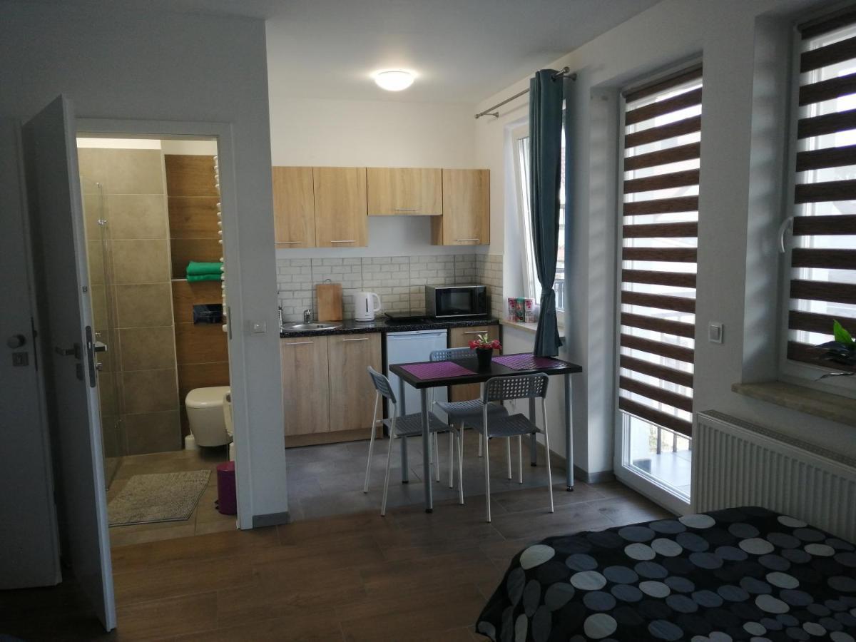 Pokoje - Studio Gliwice I Przy Onkologii Buitenkant foto